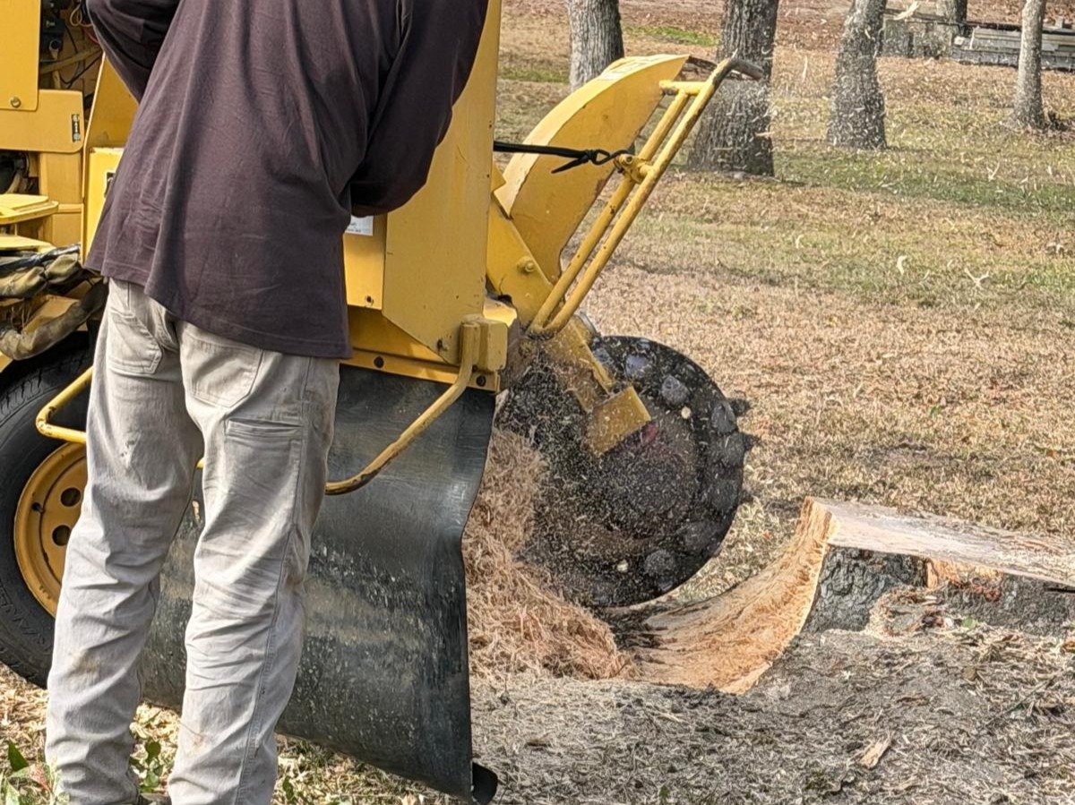 El Costeño Tree Service LLC